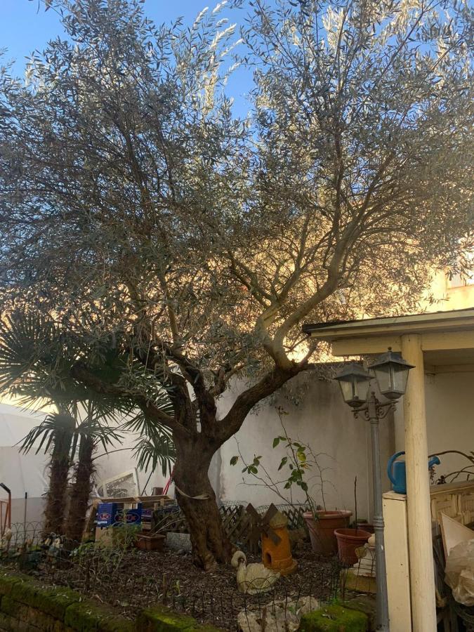 B&B Dal Fiocinino Comacchio Εξωτερικό φωτογραφία